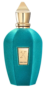 Elegance Noir Premium